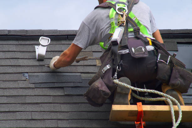 Professional Roofing Contractor in West Springfield, VA