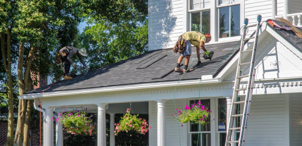 Best Roof Gutter Cleaning  in West Springfield, VA